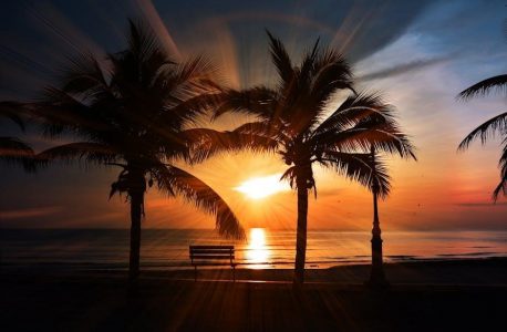 tv guide west palm beach