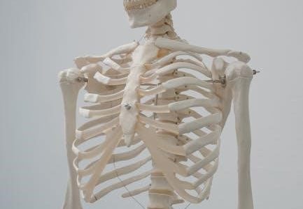 fundamentals of anatomy and physiology 11th edition pdf